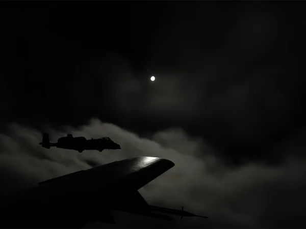 Silhouette